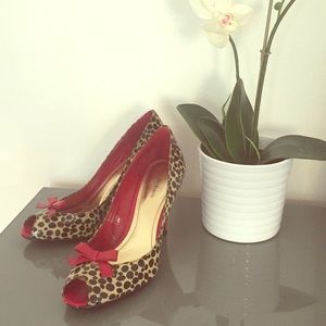 Feisty & Feminine - Animal Print & Red Heels